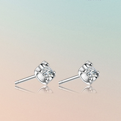 請?zhí)顚憳?biāo)題