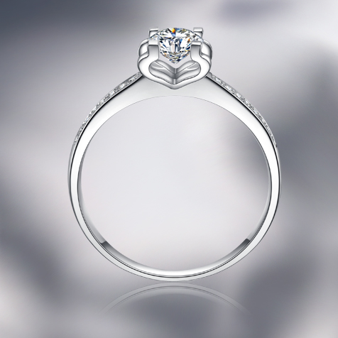 請(qǐng)?zhí)顚憳?biāo)題